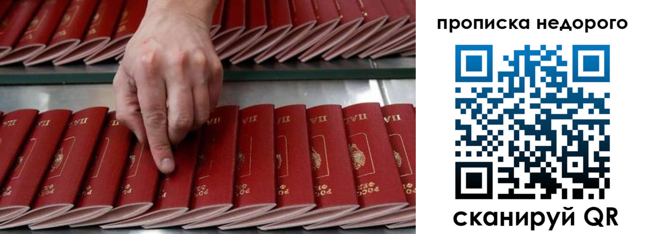 прописка регистрация в Порхове
